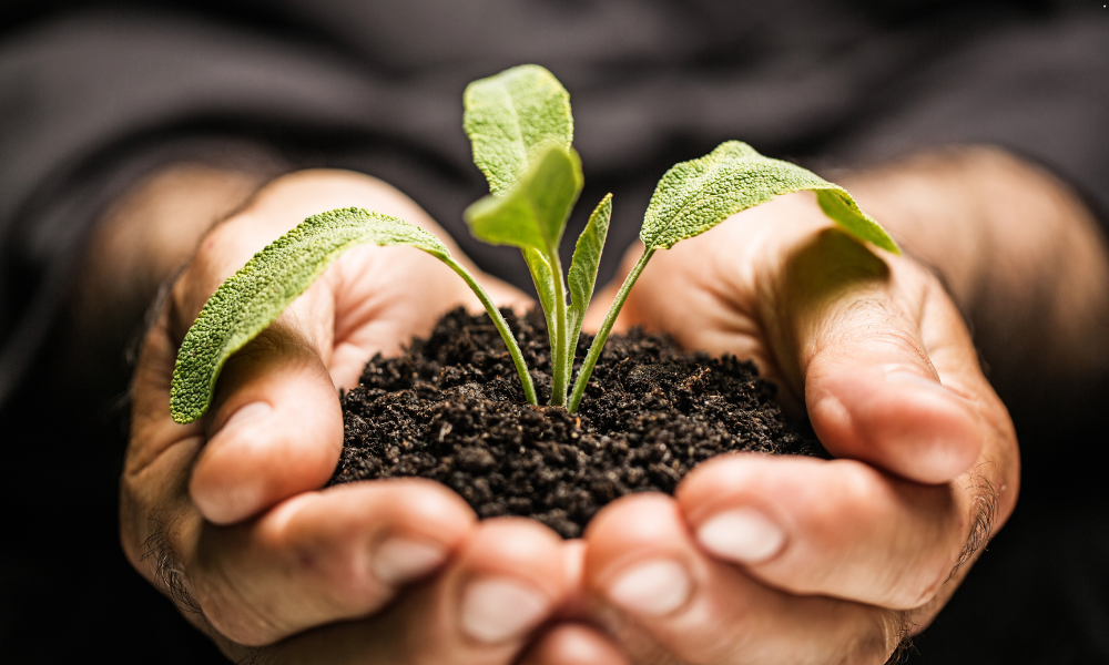Embracing the Journey: A Personal Path to Recovery